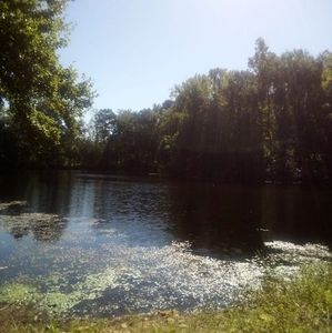 Meet your Posher, Francise